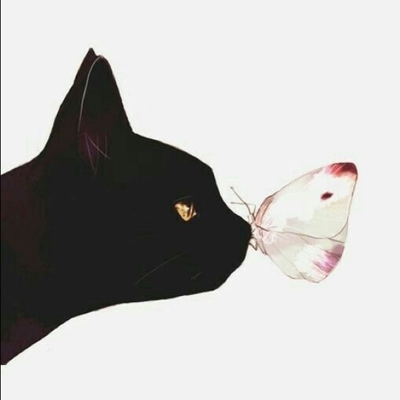 Meet your Posher, Chloe - Picture 1 of 1